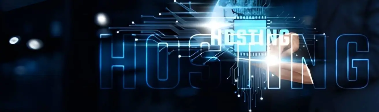 Web Hosting & Domain